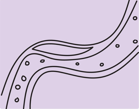 Managing Cholestrol - RightLife