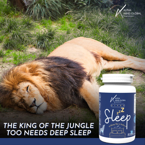 Sleep for Relaxing Mind & Body and Promoting Sleep & Mood