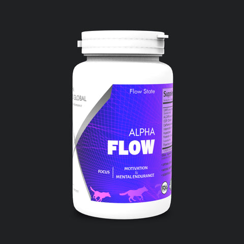 Alpha Flow for Enhanced Memory, Focus, Motivation & Learning - Nootropics (Mental Performance)