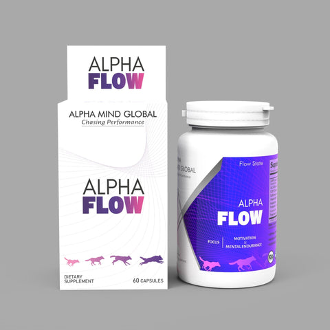 Alpha Flow for Enhanced Memory, Focus, Motivation & Learning - Nootropics (Mental Performance)