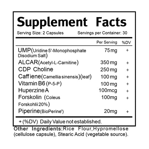 Alpha Flow for Enhanced Memory, Focus, Motivation & Learning - Nootropics (Mental Performance)