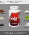 Alpha Thermoblast - Energy & Metabolism