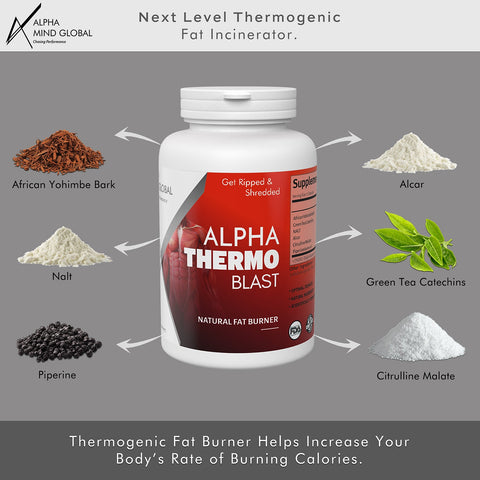 Alpha Thermoblast - Energy & Metabolism