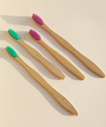 Bamboo Tooth Brushes