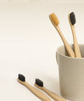 Bamboo Tooth Brushes