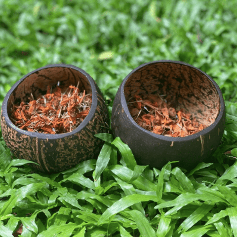 COCONUT SHELL BOWLS (2) WITH DRIED FLOWER PETALS