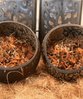 COCONUT SHELL BOWLS (2) WITH DRIED FLOWER PETALS