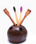 Coconut Shell Tooth Brush Stand