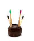 Coconut Shell Tooth Brush Stand