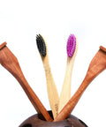 Coconut Shell Tooth Brush Stand