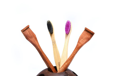 Coconut Shell Tooth Brush Stand