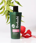 Guduchi Ayurveda Anti Dandruff shampoo