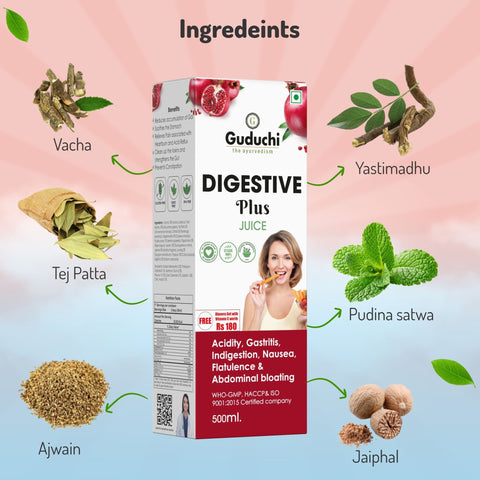 Guduchi Ayurveda Digestive Plus Juice