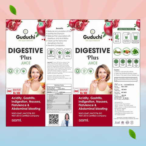 Guduchi Ayurveda Digestive Plus Juice