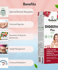 Guduchi Ayurveda Digestive Plus Juice