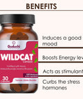 Guduchi Ayurveda Wildcat for Mood Uplift and Optimal Vitality