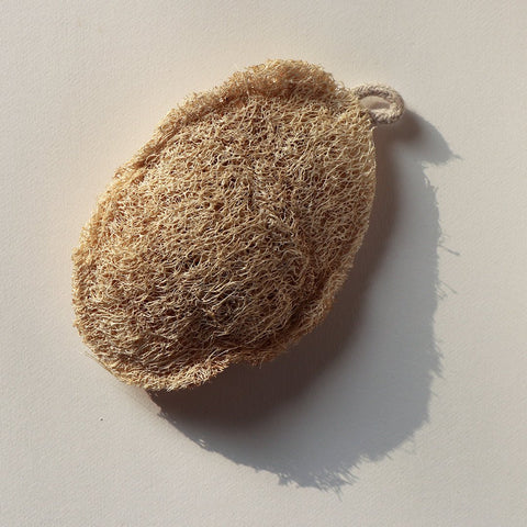 Natural Vegetable Loofah (Pack of 3)