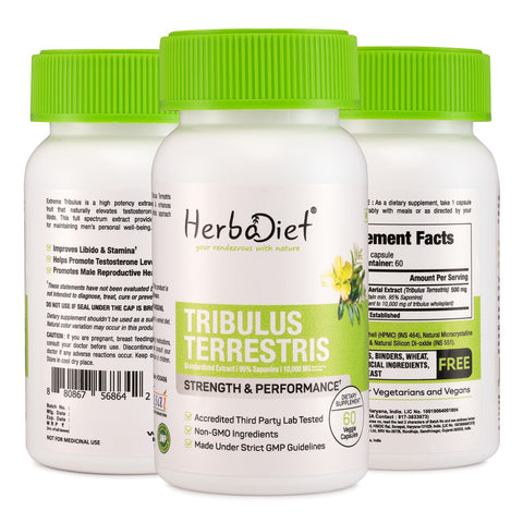 Tribulus Terrestris for Stamina & Energy