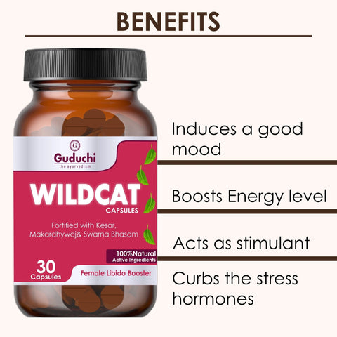 Guduchi Ayurveda Wildcat for Mood Uplift and Optimal Vitality